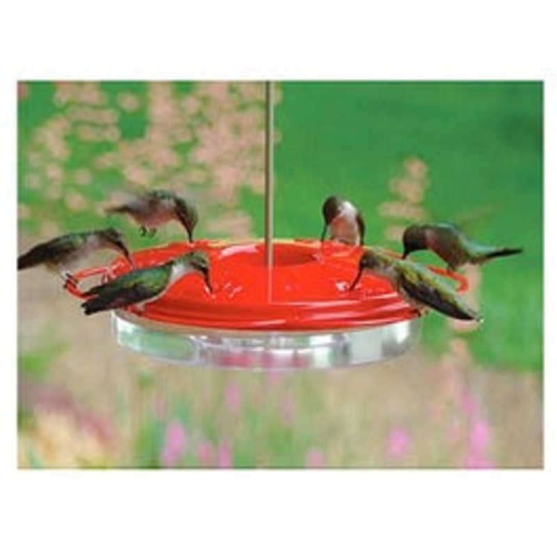 Classic Hummingbird Feeder, 12-oz.