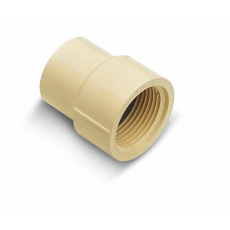 Genova Products 1/2 in. Slip x 1/2 in. Dia. FPT CPVC Pipe Adapter