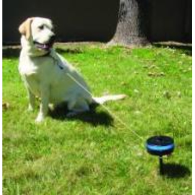 Lixit Retractable In-ground Cable Tie Out -medium dogs 25-80 lbs