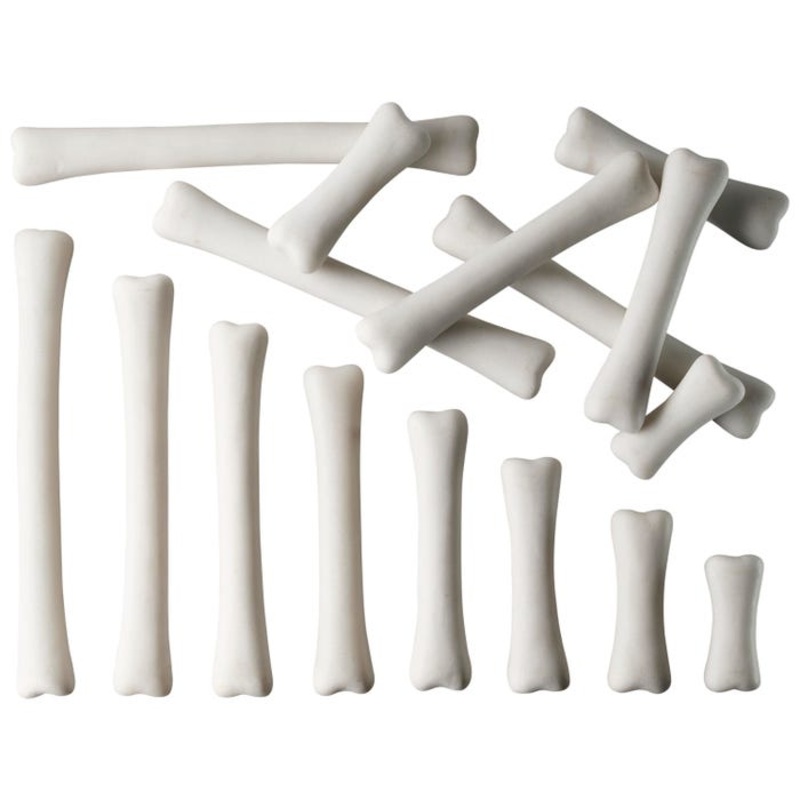 Yellow Door Dinosaur Bones Match and Measure, Set of 16