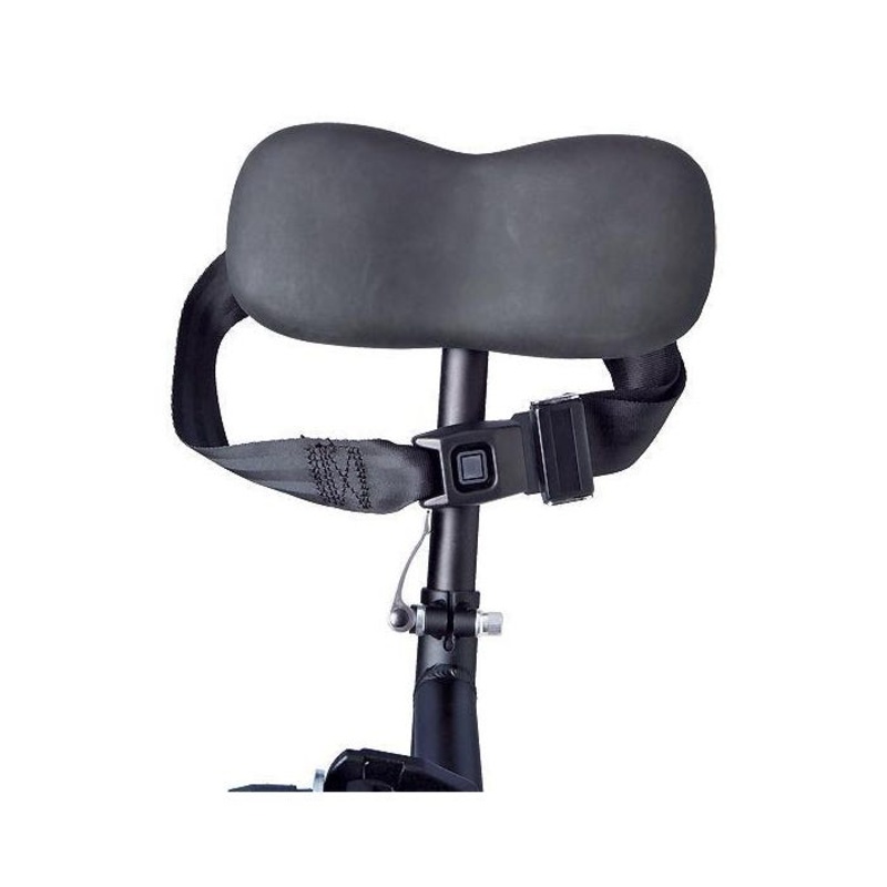 LYRCA Back Support For Trikes