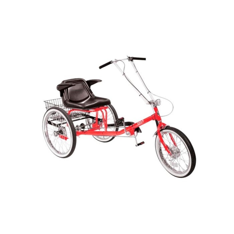 Single Rider Trike with Full Support Seat, 1 Speed