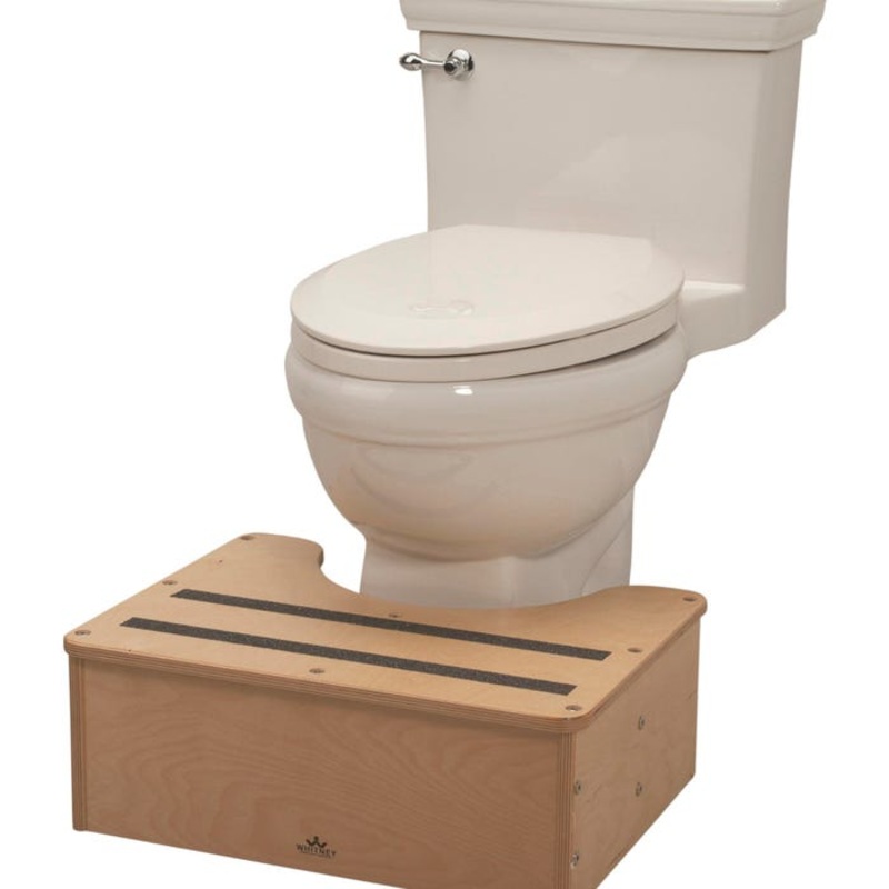 Potty Step