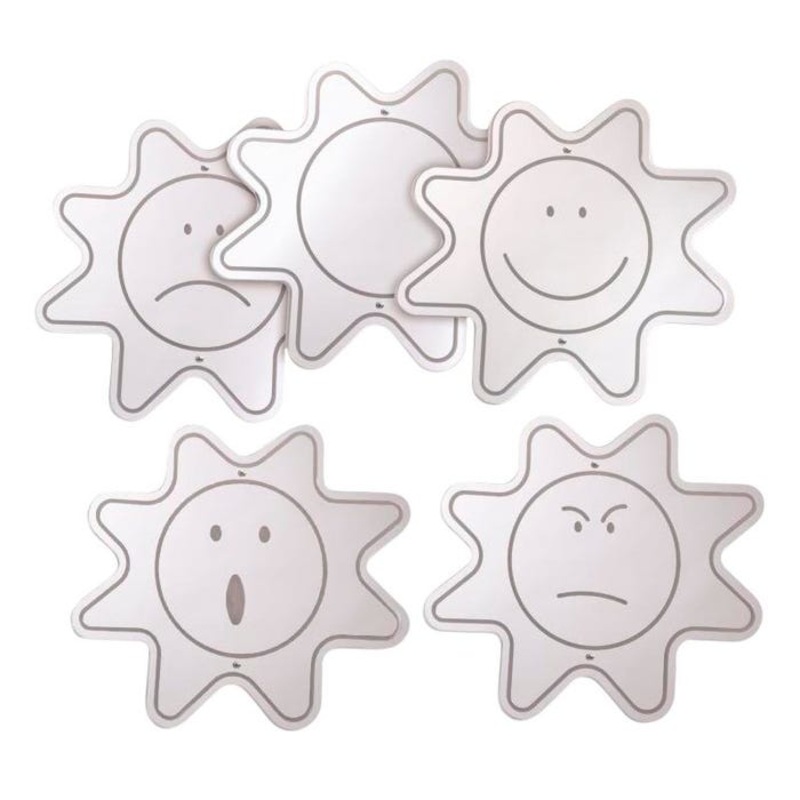 Whitney Brothers Mood Mirrors, Pack of 5