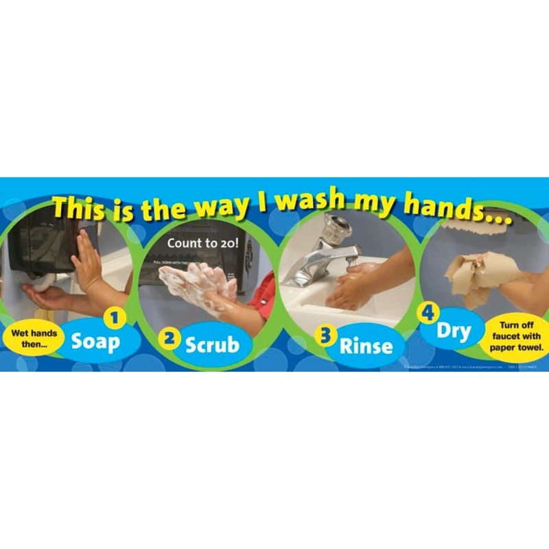 Visualz Hand Washing Poster, 8-1/2 x 24 inch