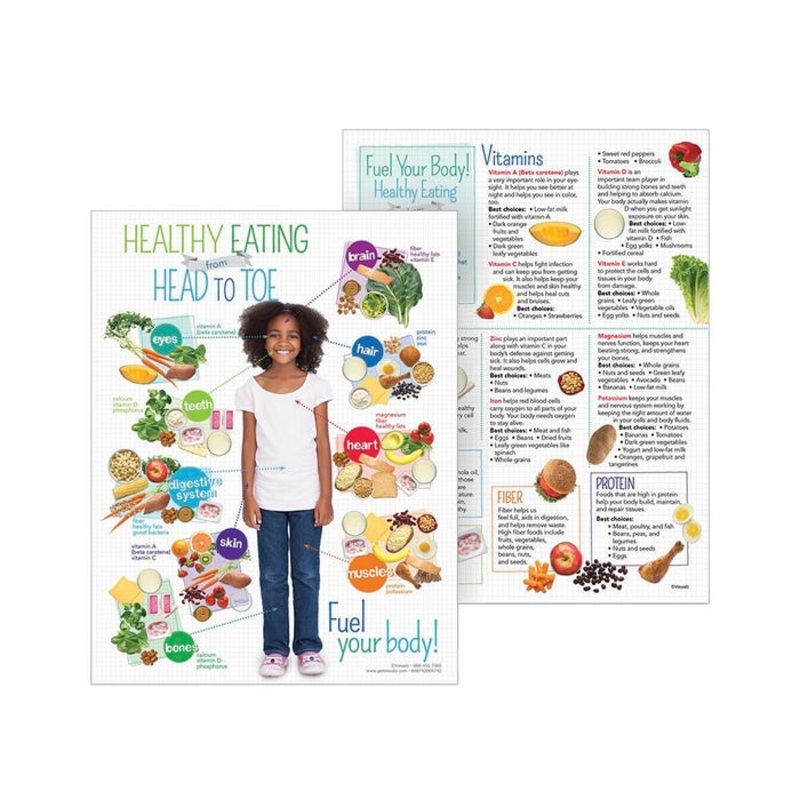 Visualz Kids Healthy Head to Toe Handout
