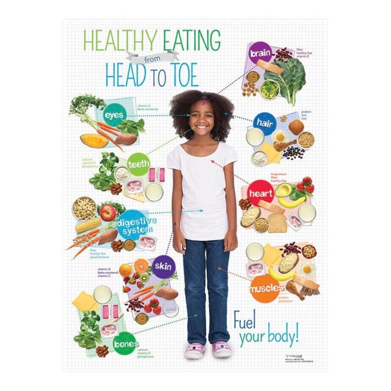 Visualz Kids Healthy Head to Toe Poster