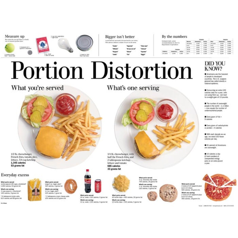 Visualz Laminated Portion Distortion Poster, 18 L x 24 W Inches, Grades 9 and Up