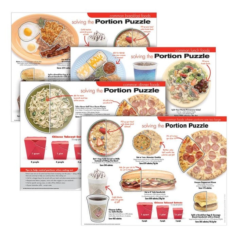 Visualz Portion Puzzle Poster Set, Grades 6 – Adult, Set of 4