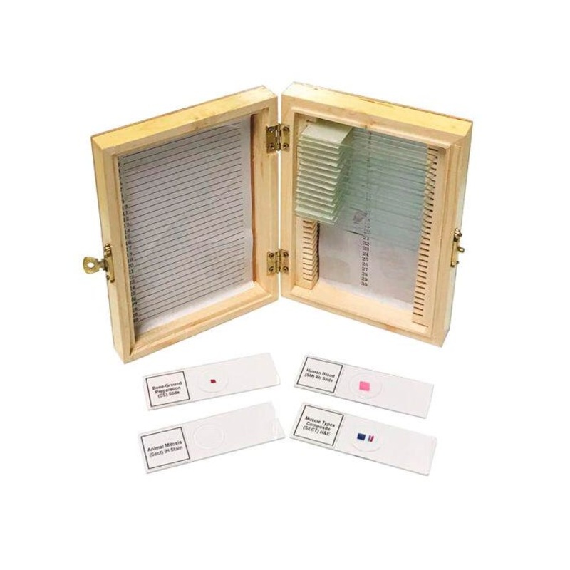 United Scientific Biology Prepared Slide, Set of 20