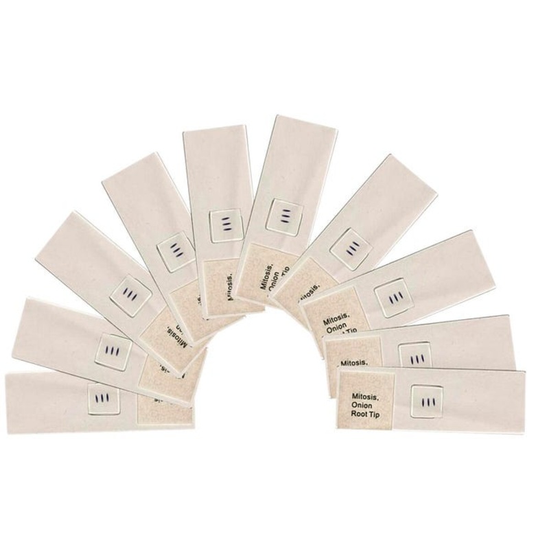 United Scientific Paramecium, WM Set of 10