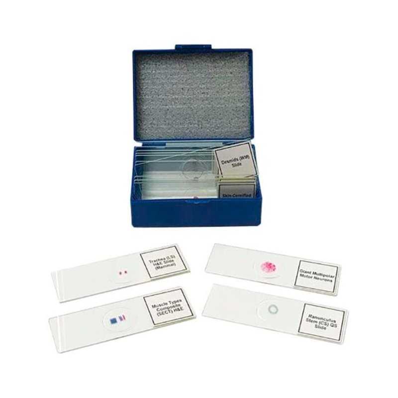 United Scientific Biology Prepared Slide Set of 14