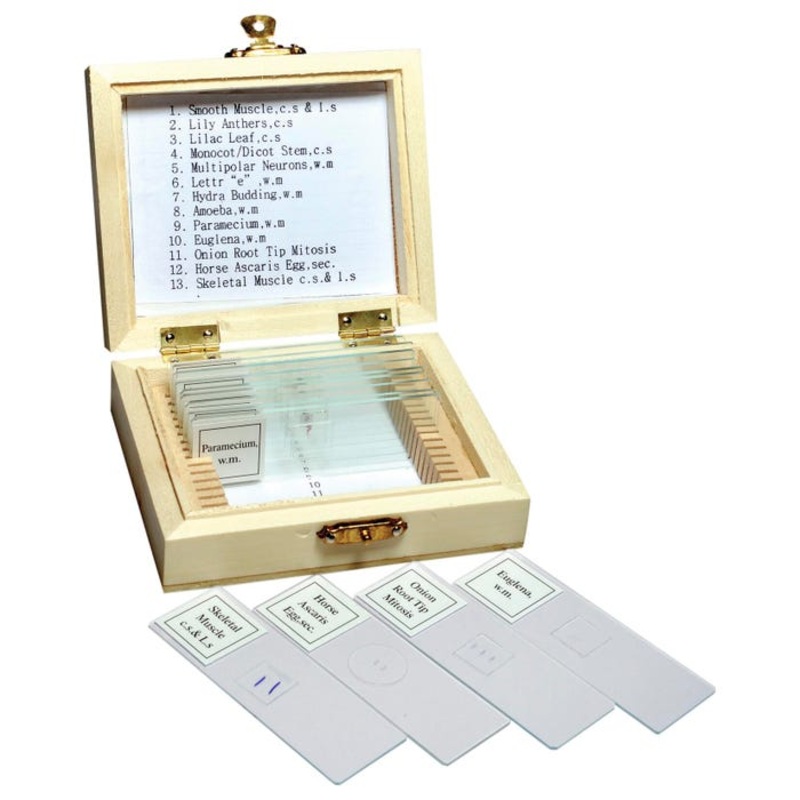 United Scientific Prepared Microslide Set, Set of 13