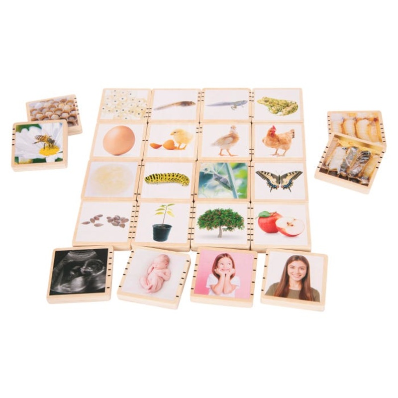 TickiT Wooden Lifecycle Tiles, Set of 24