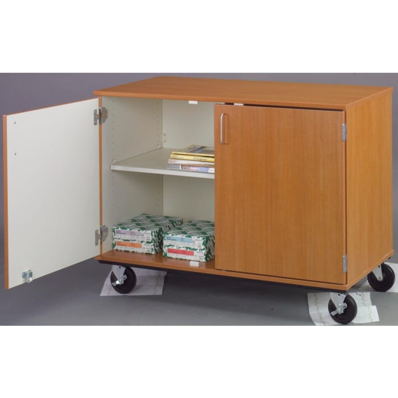 Stevens I.D. Systems Mobile 50/50 Divided Cabinet with Doors, 48 x 24 x 36 Inches