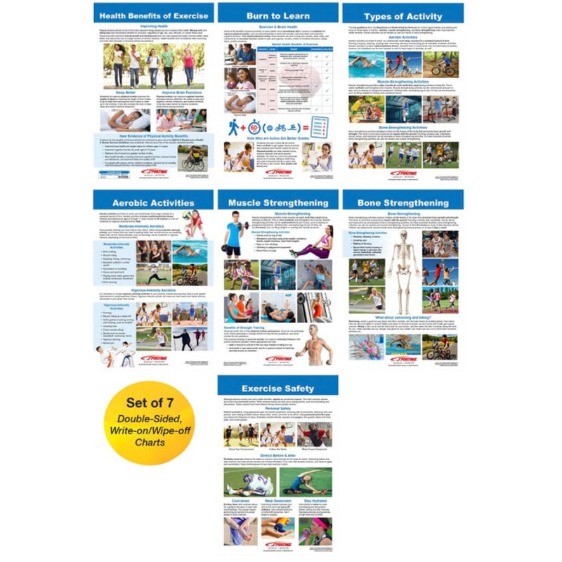 Sportime Exercise Facts Bulletin Board Charts, Set of 7, Grades 5 to 12