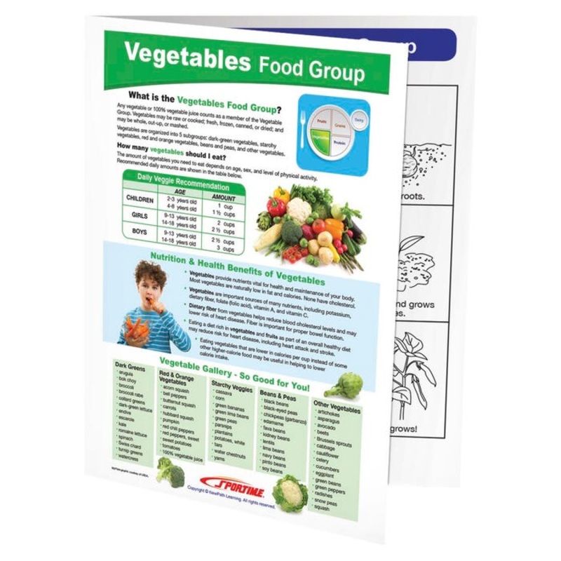 Sportime Vegetables Food Group Visual Learning Guide, 4 Pages, Grades 5 to 9