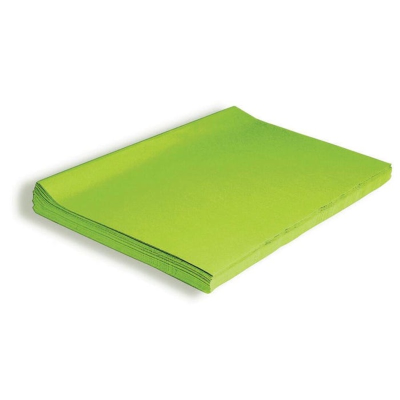 Spectra Deluxe Bleeding Tissue Paper, 20 x 30 Inches, Green, 24 Sheets