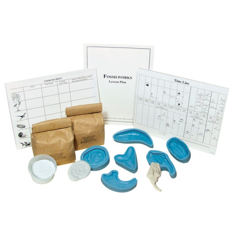Fossilworks Fossil Exploration Kit