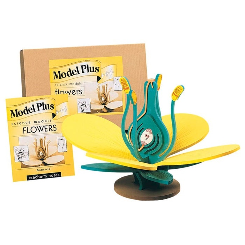 SI MFG Scientific Foam Flower Model, 19-1/2 in L X 19-1/2 in W X 15 in H