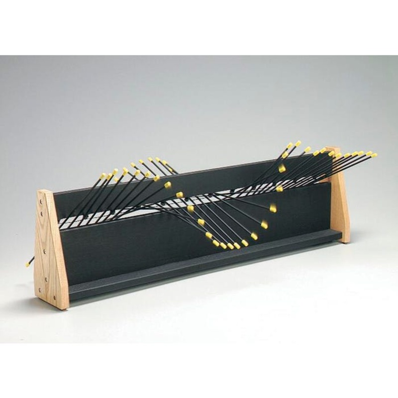 Science First Wave Motion Apparatus