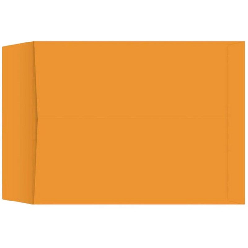 School Smart Catalog Envelopes, 17 x 22 Inches, Kraft, Box of 25