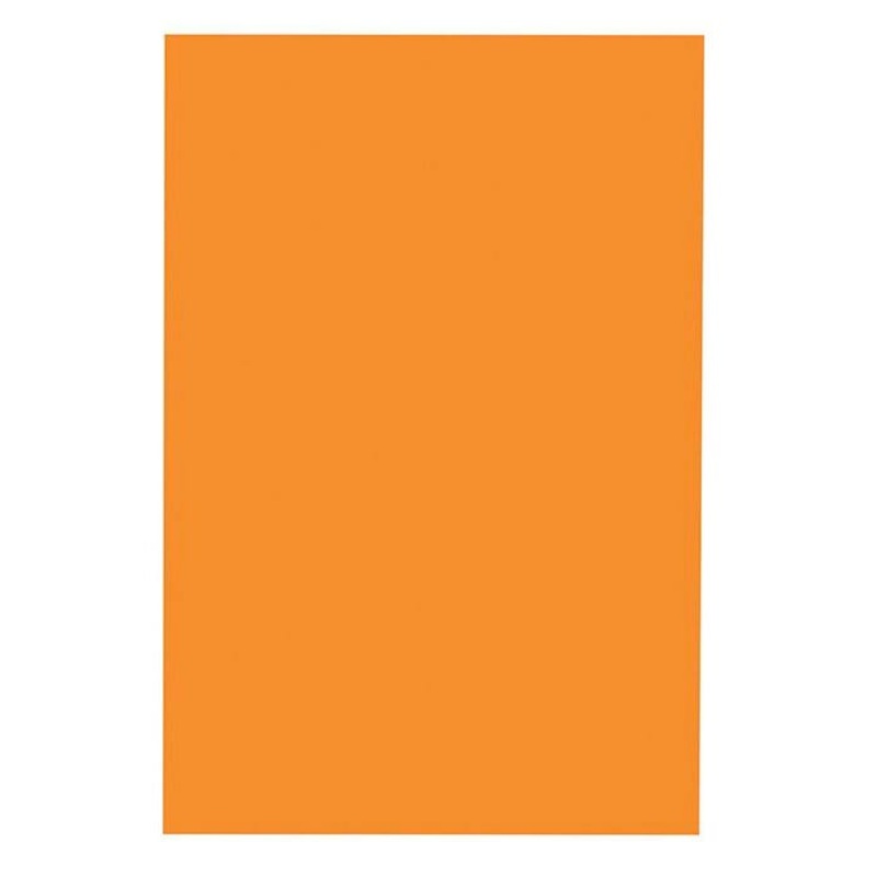 School Smart Folding Bristol Board, 9 x 12 Inches, Orange, Pack of 100