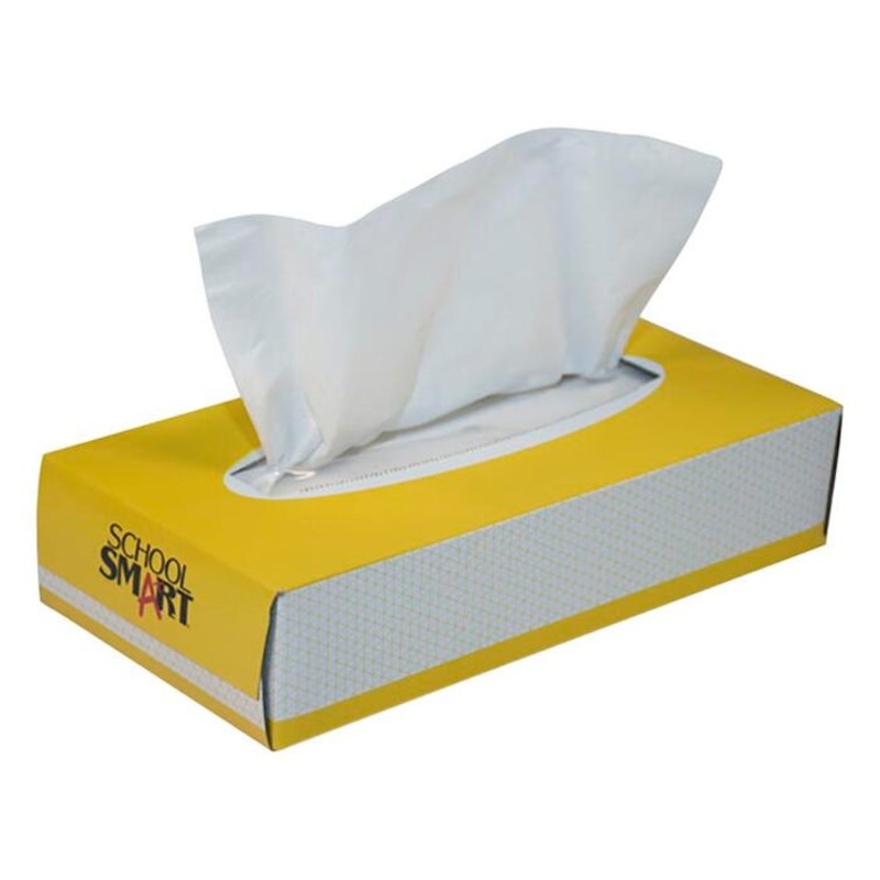 School Smart 2-Ply Facial Tissues, 100 Count, White