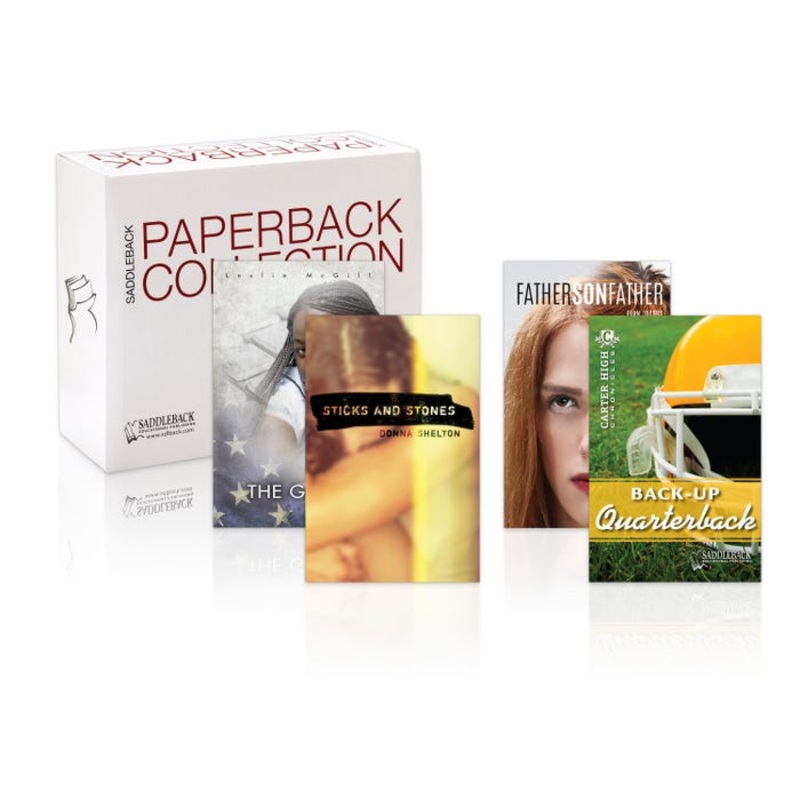 Saddleback Educational Publishing Young Adult Set A: Range 300L-490LSmall Box, Set of 25