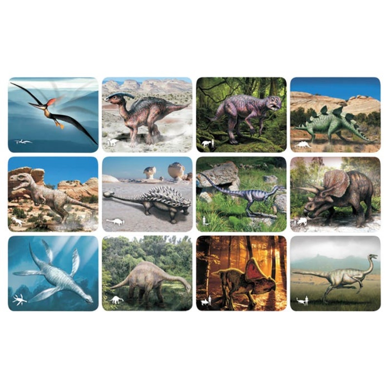 Roylco Discover Dinosaurs Picture Cards & X-ray