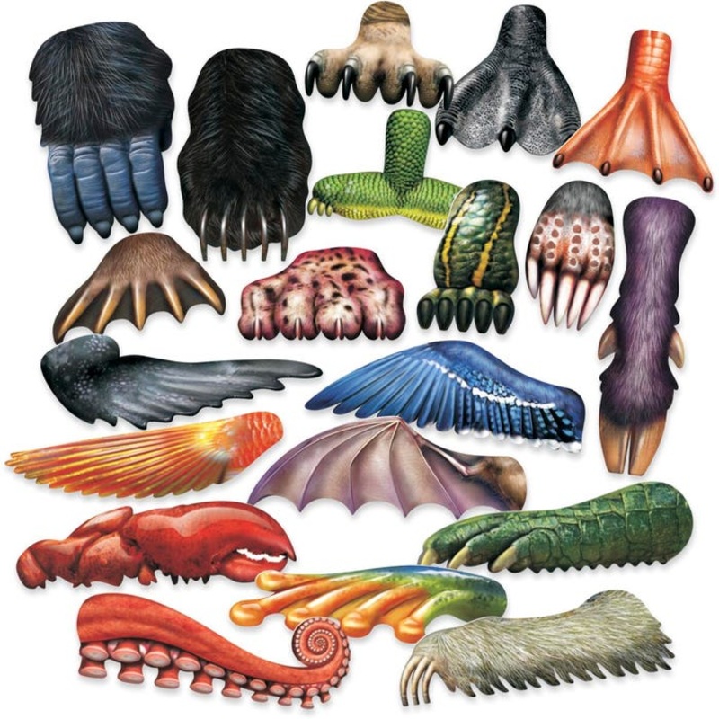 Roylco Lightweight Plastic Animal Paint Scrapers, 1-1/2 x 4 Inches, Set of 20