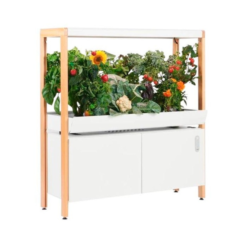 Rise Gardens One Level Rise Garden, 36-1/4 x 16-1/4 x 39-1/2 Inches, Cloud