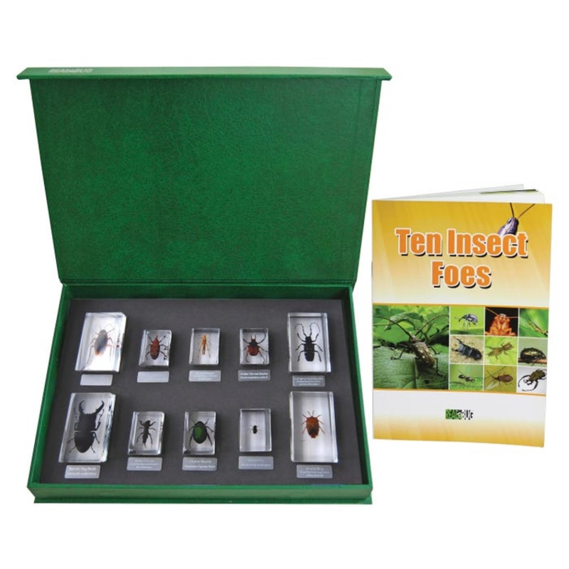 Real Bug Insect Foes Blocks, 12-3/4 x 9-1/4 x 1-3/4 Inches, Set of 10