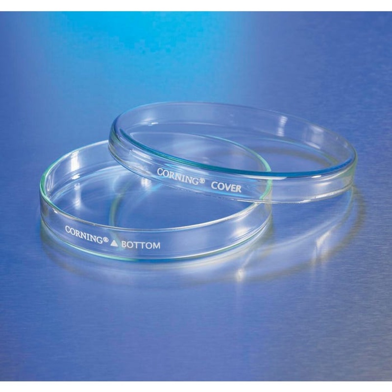 CORNING Petri Dishes – 150 mm diameter x 20 mm