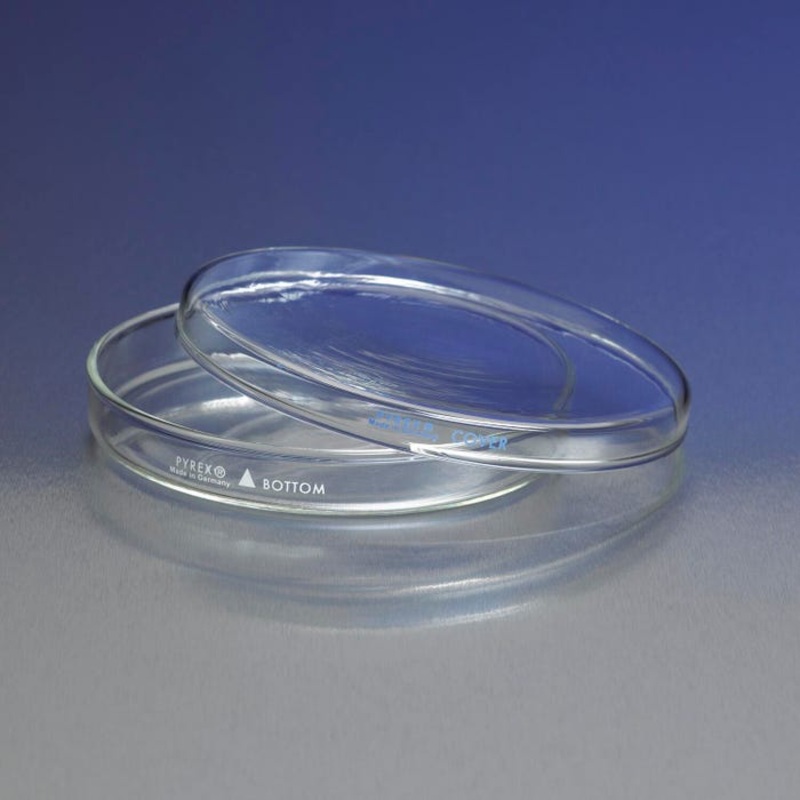 Pyrex Borosilicate Petri Dishes – 100 x 15 mm – Pack of 12