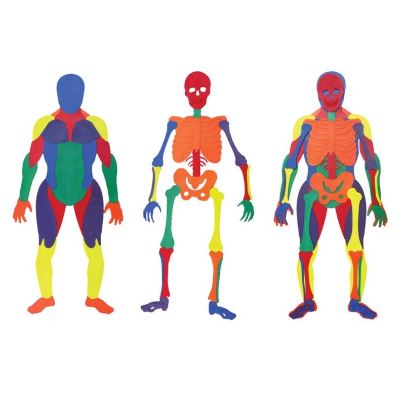 Poly Enterprises Muscle Man and Bone Puzzle Set, 6 feet 2 inches, Poly